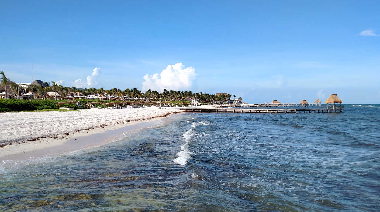 This video shows the efforts Vidanta management is taking to clean the Vidanta Riviera Maya beache of Sargassum buildup.  The Secretary of the Mexican Navy says Sargassum will be gone in 6 weeks.  Enjoy! - 8/9/19