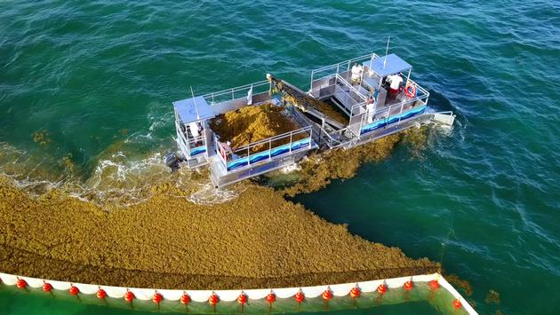 Grupo Vidanta is proud of it's Green Initiatives. The company is leading the way. - Stay tuned... - 4/15/20