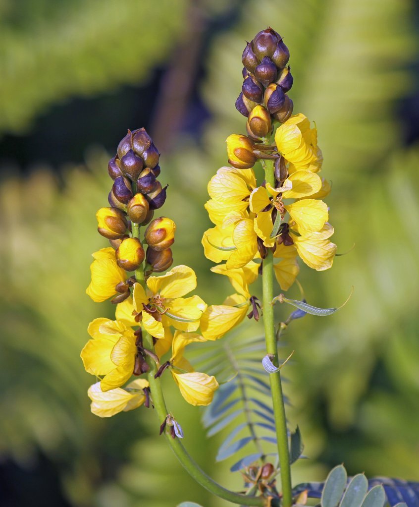 dave osborne - April 23, 2011