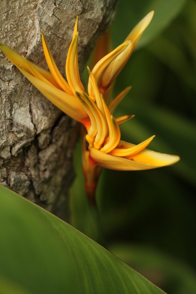 dave osborne - April 21, 2011