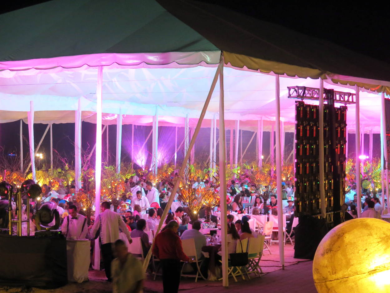 Big Screens display the entertainers so all celebrants have great views of the show.