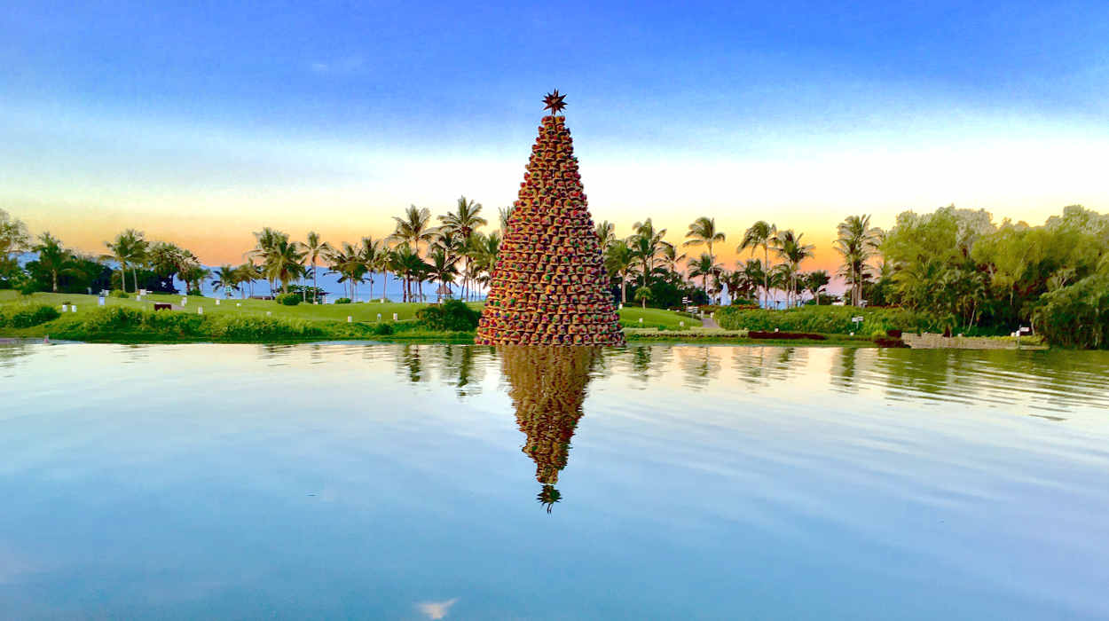 A beautiful Christmas Tree in the middle of La Plaza Lagoon....Holidays are just around the corner....