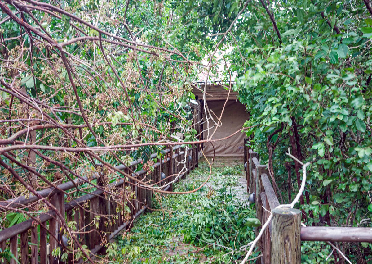 2020-10-7 Hurricane Damage 03 1200x850