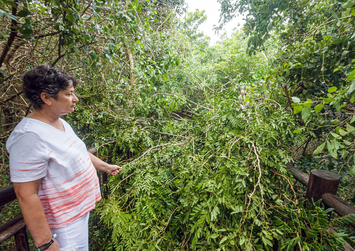 2020-10-7 Hurricane Damage 04 1200x850