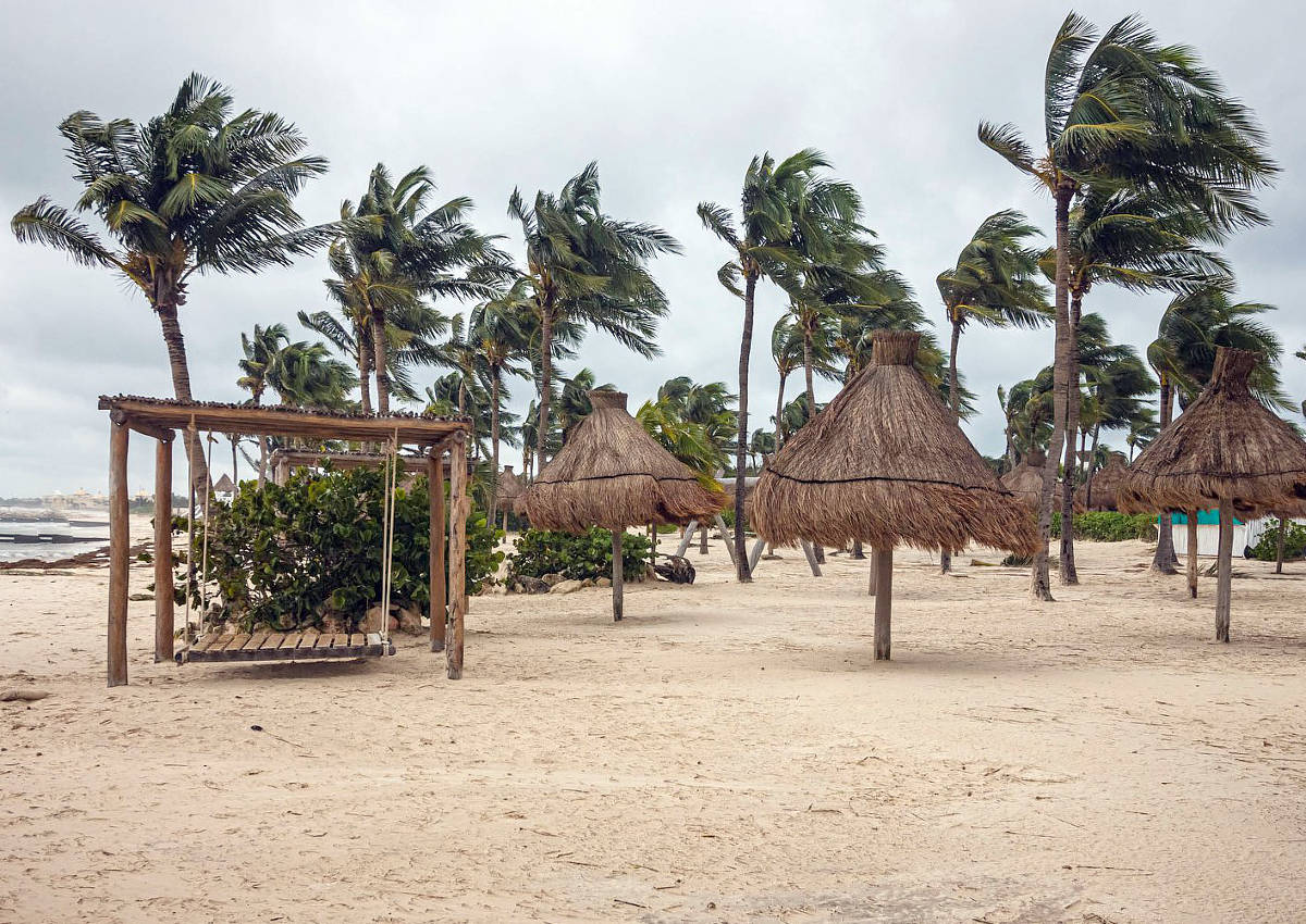 Hurricane Delta appears to have caused limited damage to structures at Vidanta Riviera Maya. Trees down, broken limbs and broken piers are examples of damage caused by Delta. Clean up is underway. Stay tuned... - Subscribers View - 3/13/20